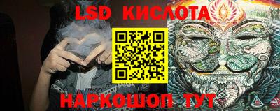 стаф Краснодар