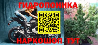 сатива Краснознаменск