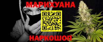 сатива Краснознаменск