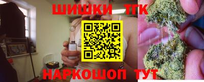 сатива Краснознаменск